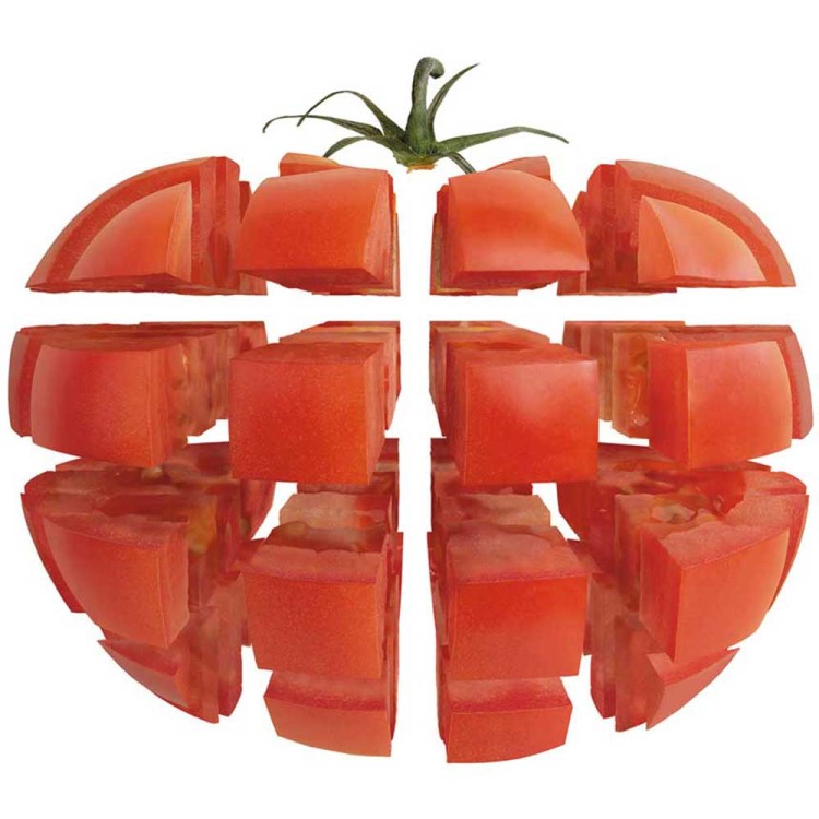 bd72d1d5daea5d197fa6ea95b9be5f86